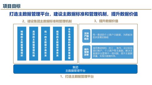 數(shù)據(jù)治理進(jìn)階 解讀大數(shù)據(jù)時(shí)代治理與主數(shù)據(jù)管理規(guī)劃設(shè)計(jì)